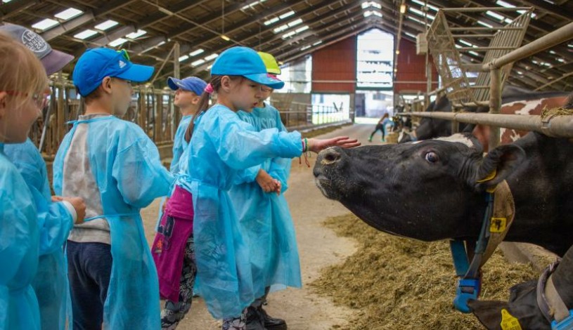Hotel CROCUS **** Vysoké Tatry